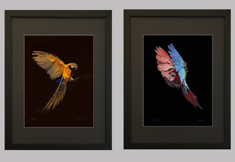 Original Figurative Nature Photography by Oscar Manuel Vargas