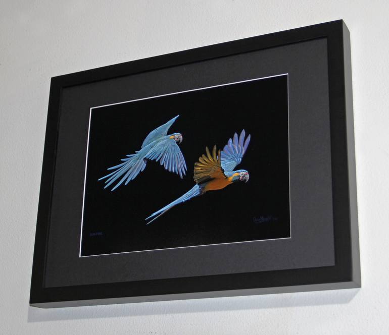 Original Figurative Animal Photography by Oscar Manuel Vargas