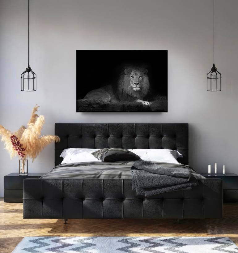 Original Figurative Animal Photography by Oscar Manuel Vargas