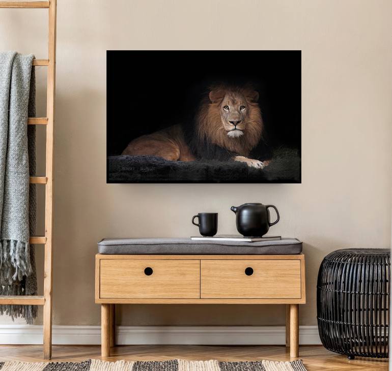 Original Figurative Cats Photography by Oscar Manuel Vargas