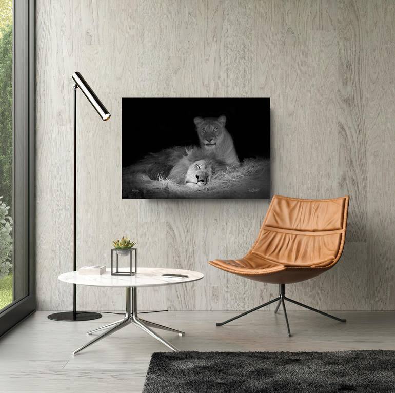 Original Digital Art Animal Photography by Oscar Manuel Vargas