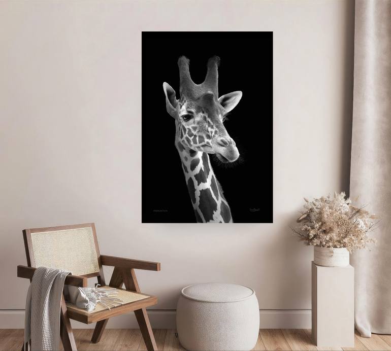 Original Black & White Nature Photography by Oscar Manuel Vargas