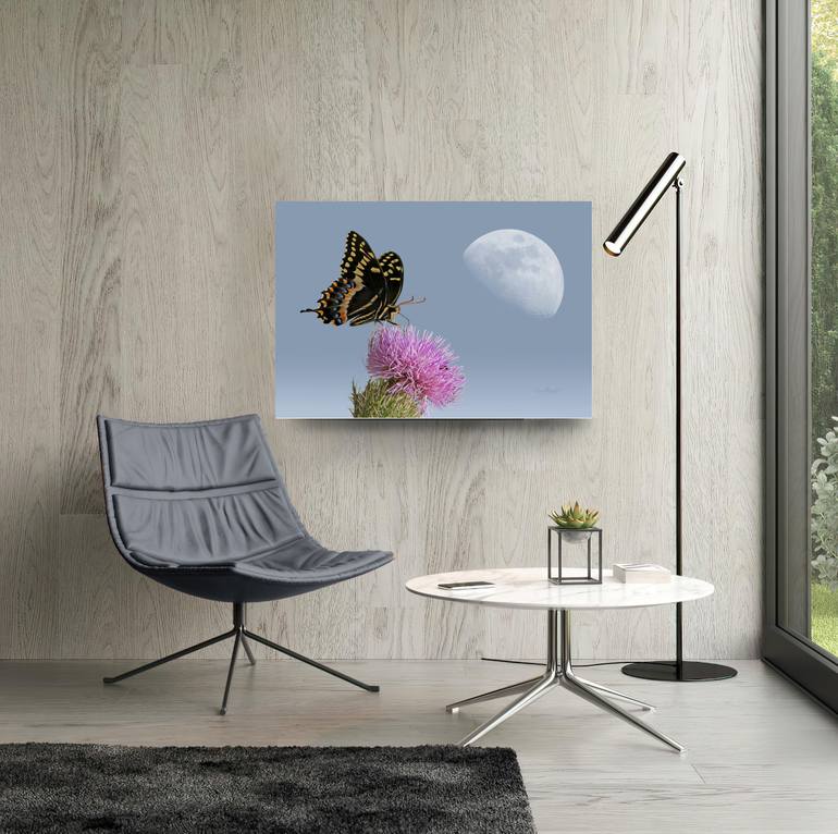 Original Figurative Nature Photography by Oscar Manuel Vargas