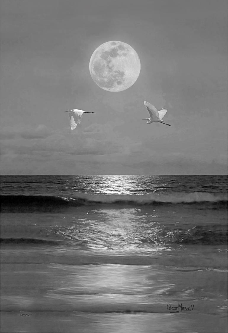 Original  Photography by oscar manuel vargas