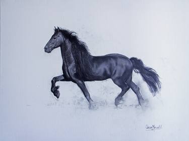 Original Realism Horse Drawings by Oscar Manuel Vargas