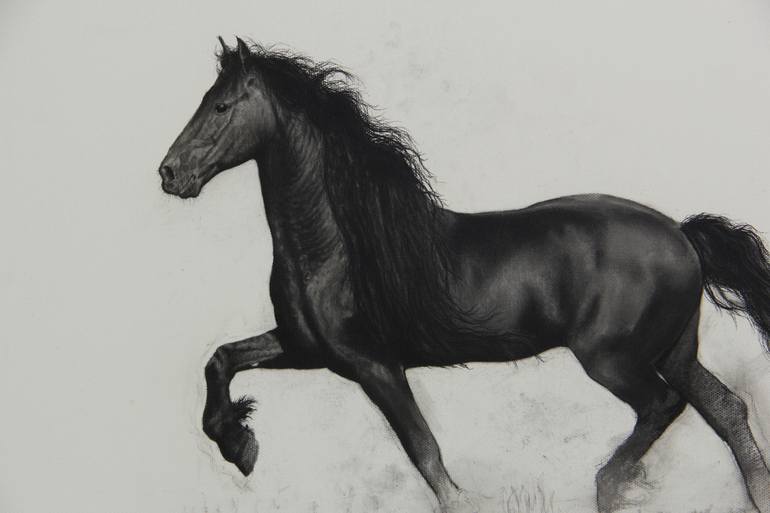 Original Horse Drawing by Oscar Manuel Vargas