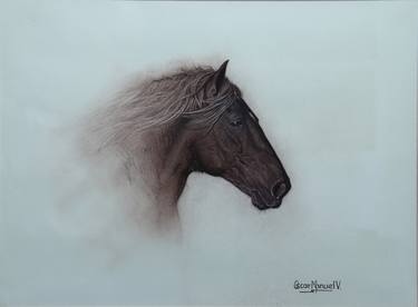 Original Horse Drawings by Oscar Manuel Vargas