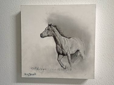 Original Horse Drawings by Oscar Manuel Vargas