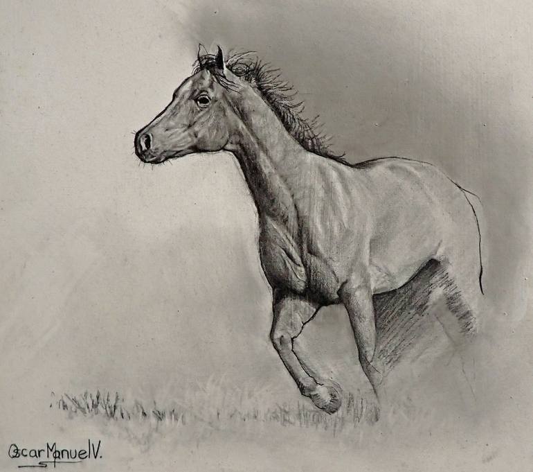 Original Realism Horse Drawing by Oscar Manuel Vargas