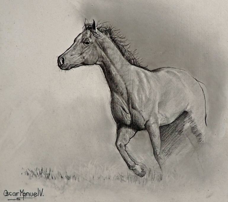 Original Horse Drawing by Oscar Manuel Vargas