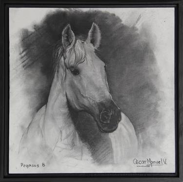 Original Fine Art Horse Drawings by Oscar Manuel Vargas