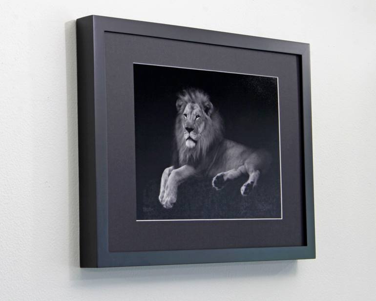 Original Documentary Cats Photography by Oscar Manuel Vargas