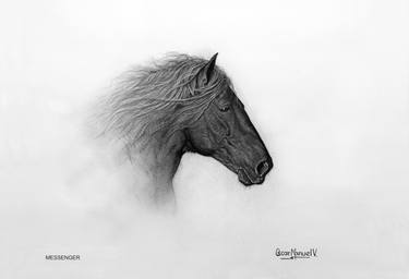 MESSENGER. 33 X 48,3 cms. Print. 1/30 - Limited Edition of 30 thumb