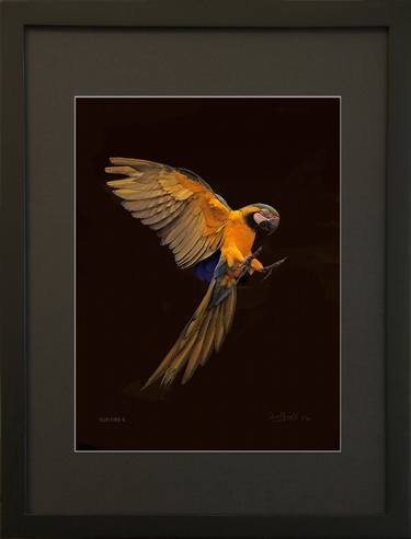 SUN'S FIRE 4 Framed Print - Limited Edition of 30 thumb