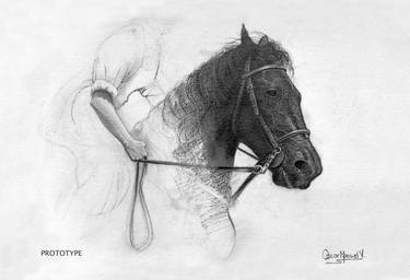 Print of Figurative Horse Photography by Oscar Manuel Vargas