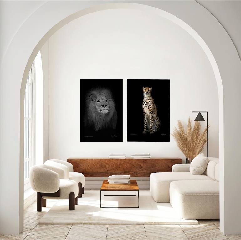 Original Documentary Cats Photography by Oscar Manuel Vargas