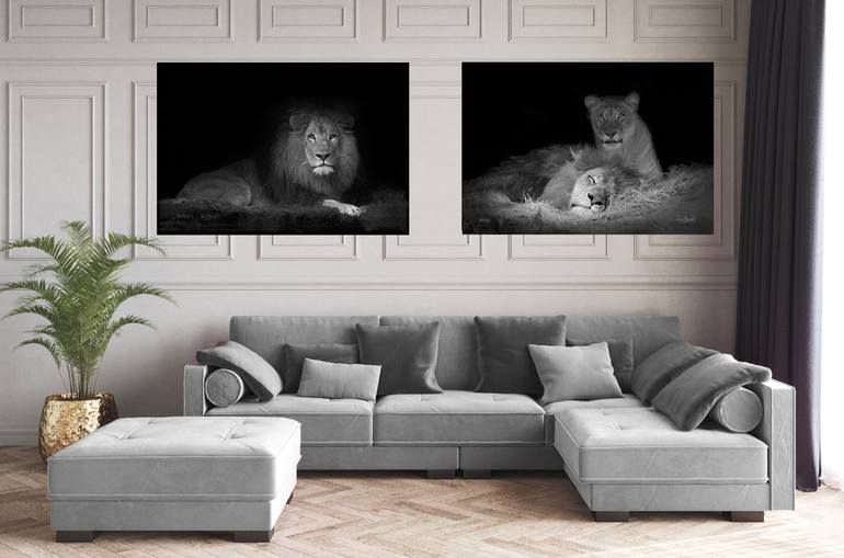 Original Documentary Cats Photography by Oscar Manuel Vargas