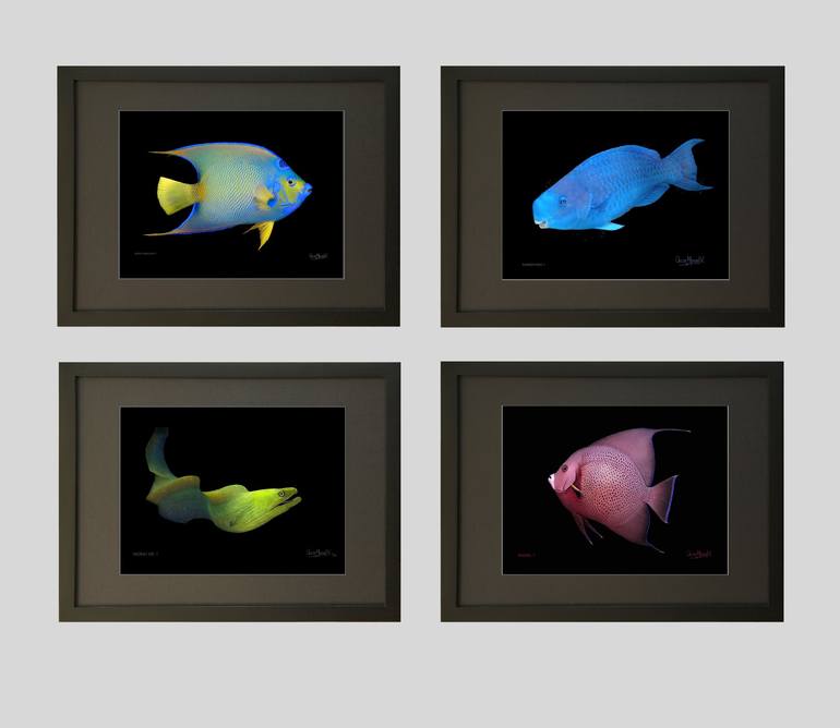 Original Figurative Fish Photography by Oscar Manuel Vargas