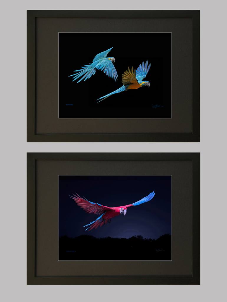 Original Documentary Animal Photography by Oscar Manuel Vargas