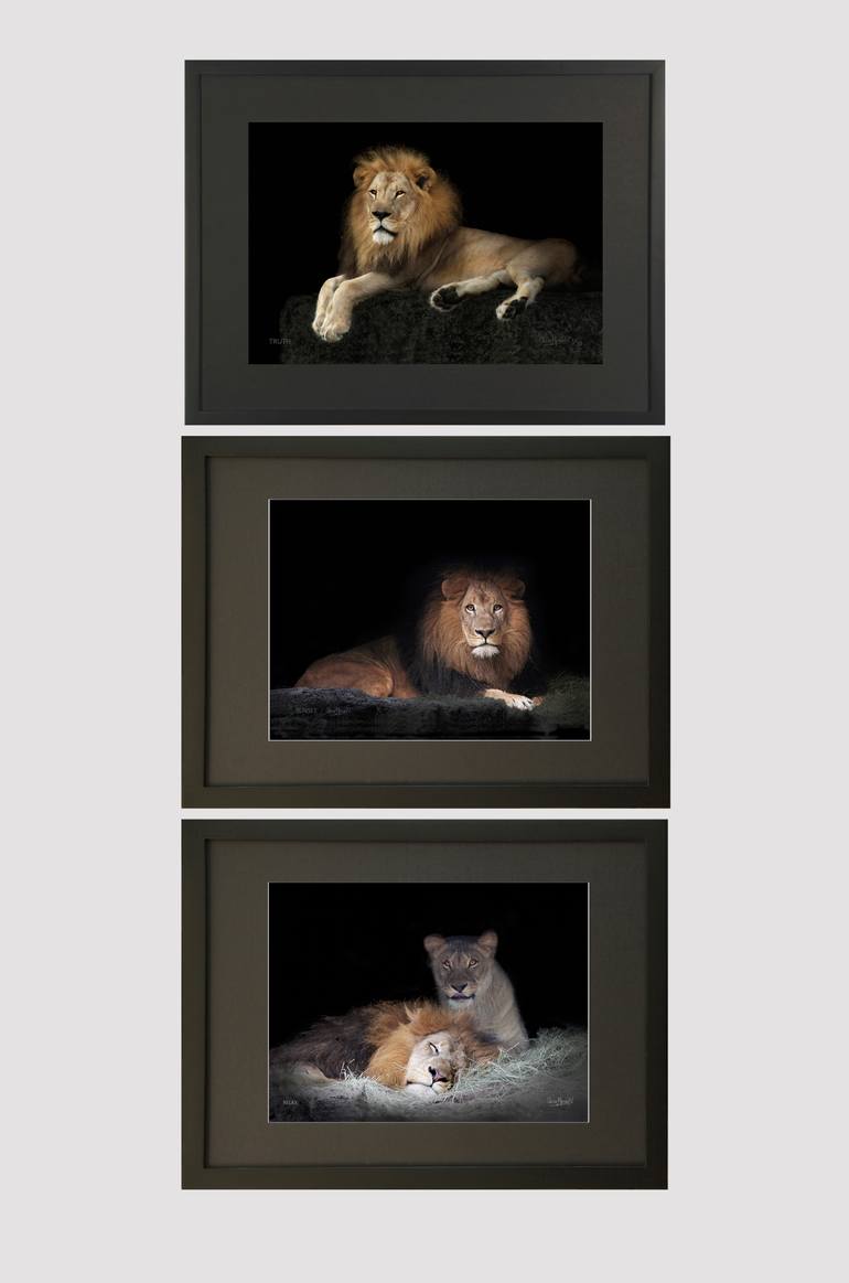 Original Documentary Animal Photography by Oscar Manuel Vargas