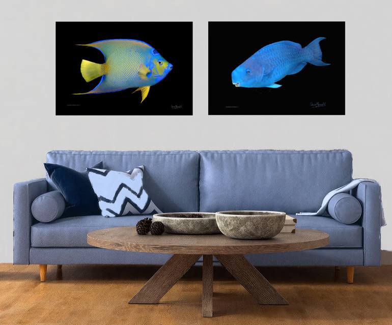 Original Documentary Animal Photography by Oscar Manuel Vargas