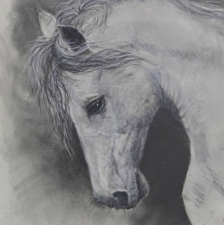 Original Figurative Horse Drawing by Oscar Manuel Vargas