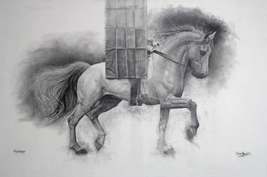 Original Fine Art Horse Drawings by Oscar Manuel Vargas
