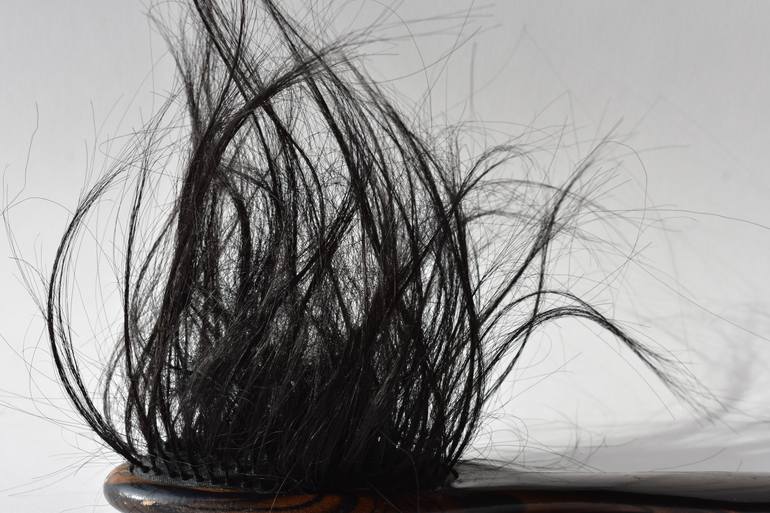 Original Conceptual Still Life Sculpture by Asma Sultana