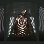 Collection diptych and triptych