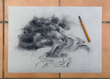 Bonsai in Charcoal thumb