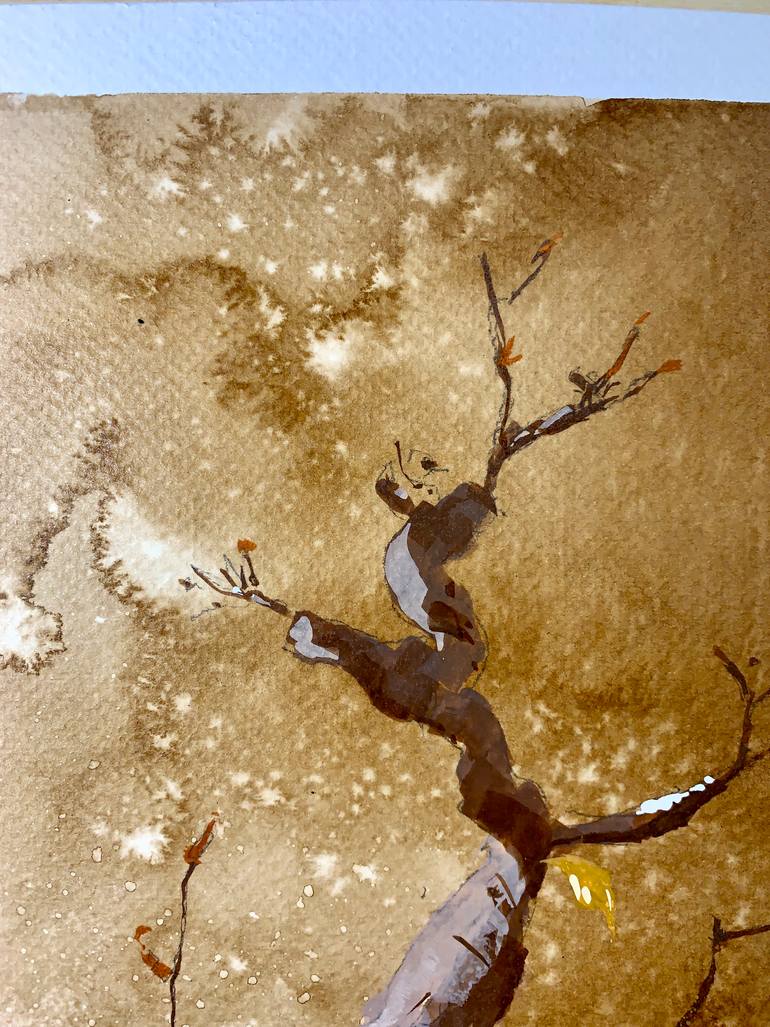 Original Illustration Floral Painting by Norman Vila