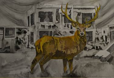 Original Contemporary Animal Drawings by simonetta leonetti luparini