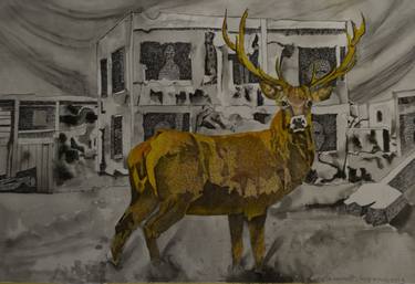 Original Figurative Animal Drawings by simonetta leonetti luparini