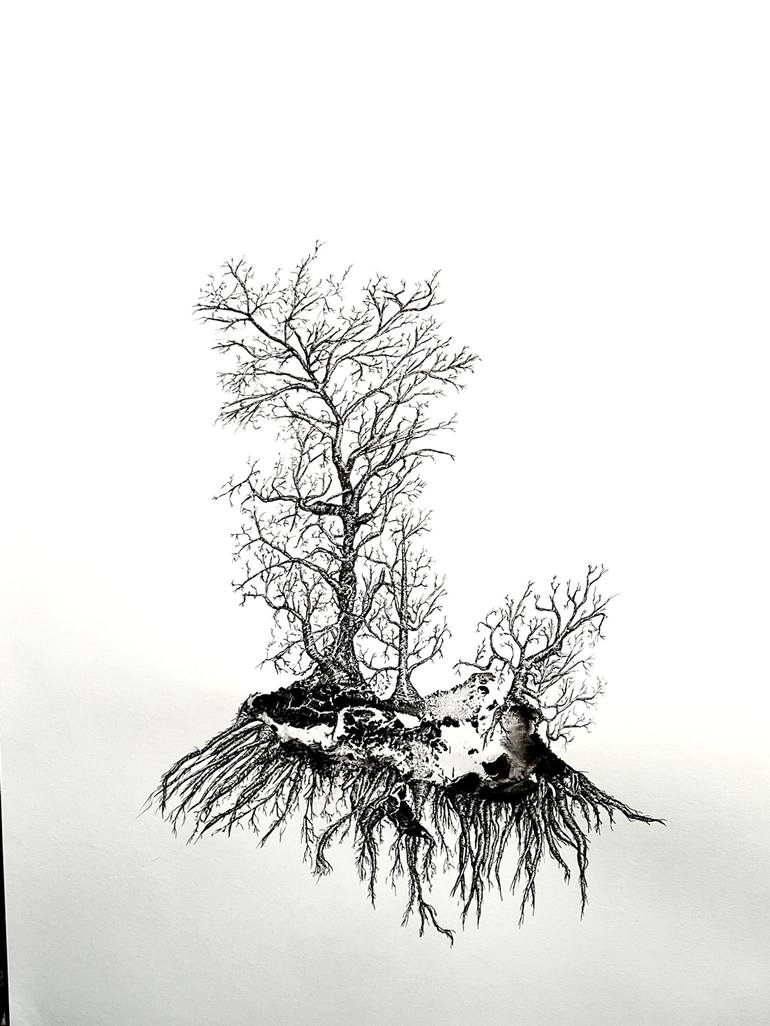 uprooted tree drawing