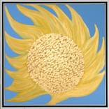 Sunflower by Anna Gennari