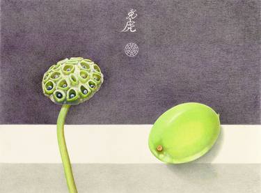 Lotus seedpod and seed thumb