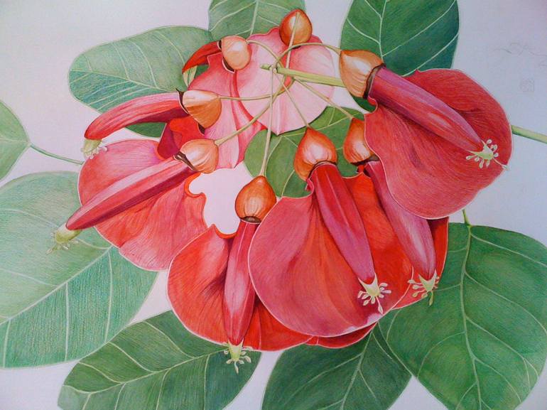 Original Realism Botanic Painting by Sally Arnold