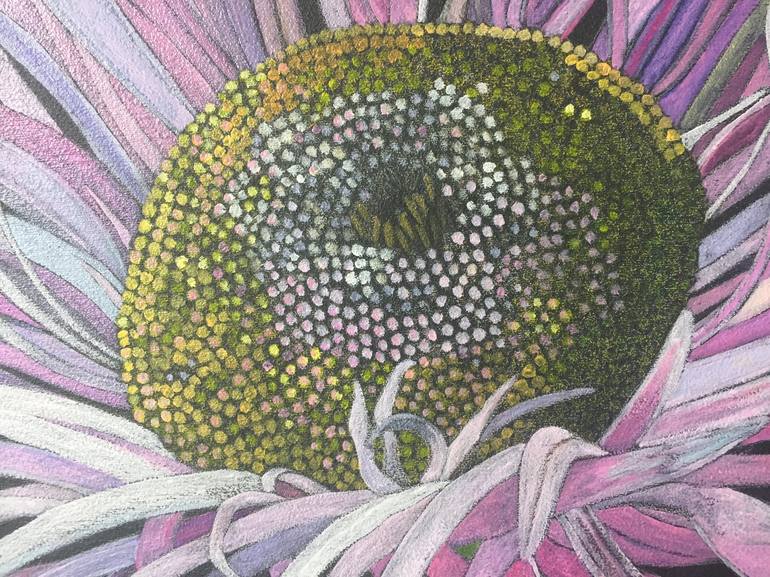 Original Realism Botanic Drawing by Sally Arnold