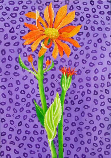 Original Floral Paintings by Sally Arnold