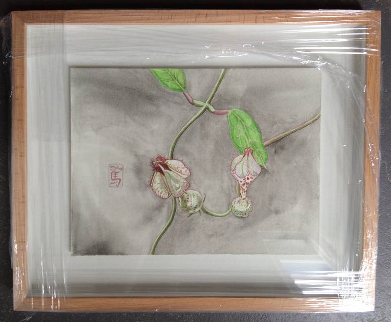 Original Realism Botanic Painting by Sally Arnold