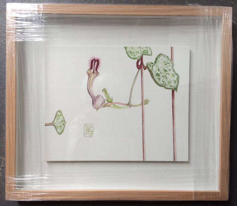 Original Botanic Painting by Sally Arnold