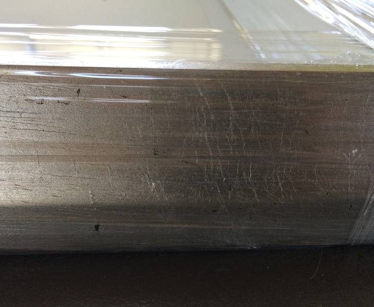 Original Illustration Botanic Drawing by Sally Arnold