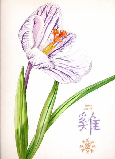 Print of Botanic Paintings by Sally Arnold