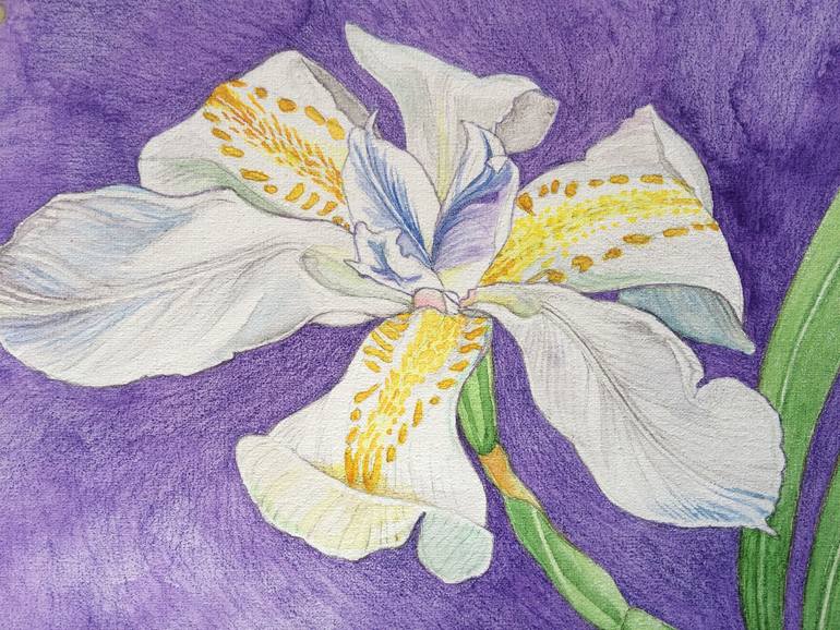 Original Modernism Floral Painting by Sally Arnold