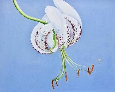 Print of Floral Paintings by Sally Arnold