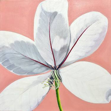 Print of Realism Floral Paintings by Sally Arnold