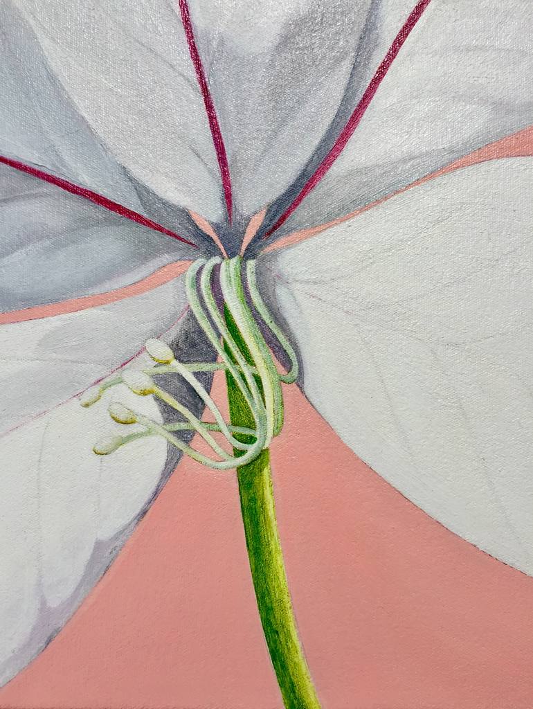 Original Botanic Floral Painting by Sally Arnold