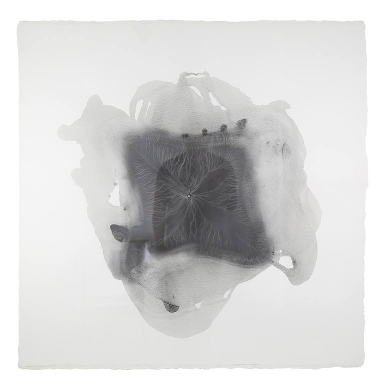 Original Conceptual Abstract Drawing by Jakbox Studio