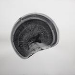 Collection Sediment