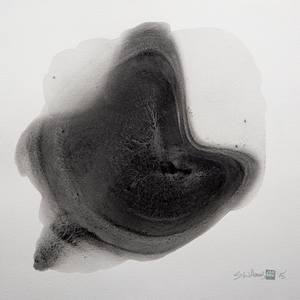 Collection Sediment